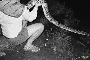 POSTER - Snakes & Surf Breaks